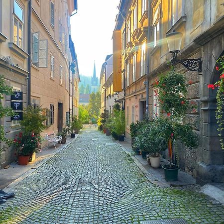 1Br Apartment On The Most Beautiful Street In Ljubljana Center ภายนอก รูปภาพ