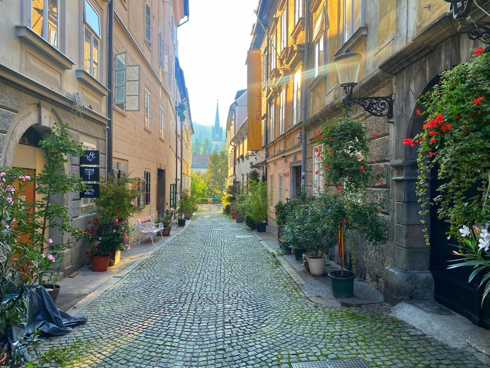 1Br Apartment On The Most Beautiful Street In Ljubljana Center ภายนอก รูปภาพ